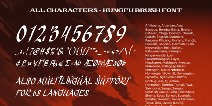 Kungfu Brush Font Poster 10