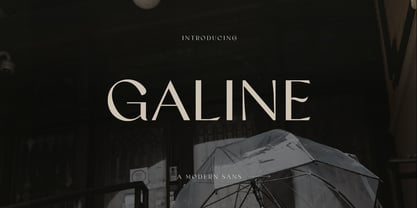 Galine Font Poster 1