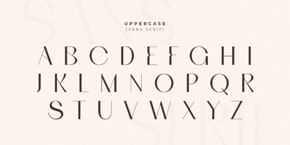 Bonarica Font Poster 8