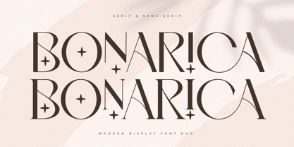 Bonarica Font Poster 1