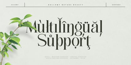 Rallomy Font Poster 13