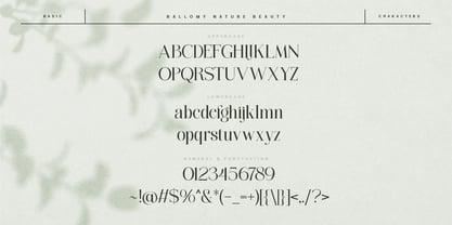 Rallomy Font Poster 6