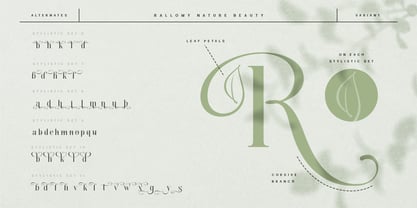 Rallomy Font Poster 10