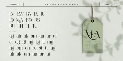 Rallomy Font Poster 12