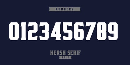 Hersh Serif Font Poster 5