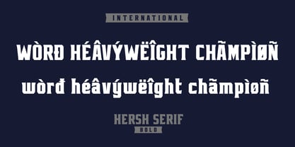 Hersh Serif Font Poster 6