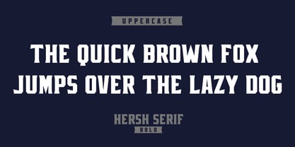 Hersh Serif Font Poster 3