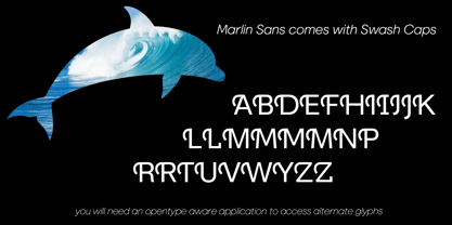 Marlin Sans Fuente Póster 5