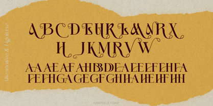 Hartulle Font Poster 14