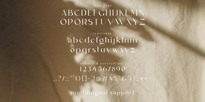 Leky Calgria Font Poster 9