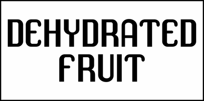 Dehydrated Fruit JNL Font Poster 2