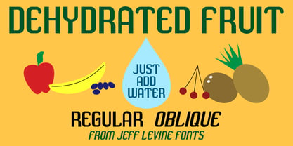 Dehydrated Fruit JNL Font Poster 1