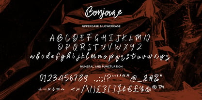 Bonjoure Font Poster 11