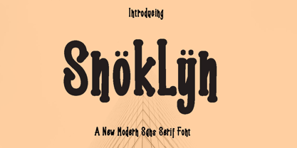 Snoklyn Font Poster 1