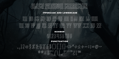 Black Freedom Font Poster 7