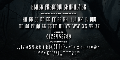 Black Freedom Font Poster 6