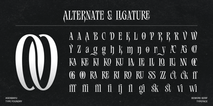 Bemore Serif Font Poster 11