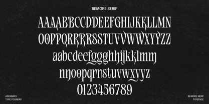 Bemore Serif Font Poster 6
