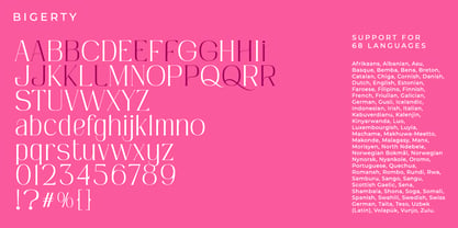 Bigerty Font Poster 10