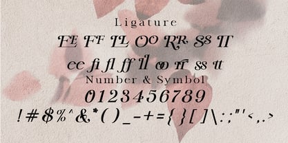 Lite Vallent Font Poster 8