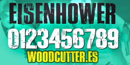 Eisenhower Font Poster 6