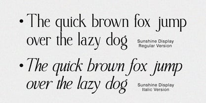 The Sunshine Display Font Poster 13