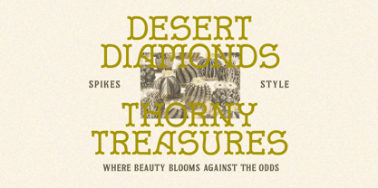 Mosaic Desert Font Poster 3