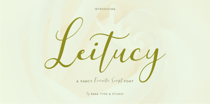 Leitucy Font Poster 1