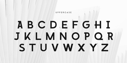 Photogenic Style Font Poster 8