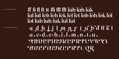 Qielftan Font Poster 8