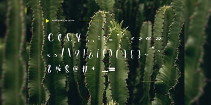 Ochaytte Font Poster 7