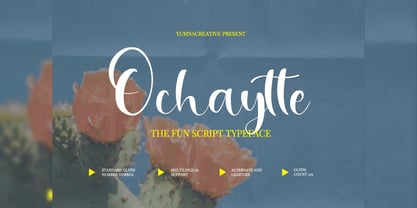 Ochaytte Font Poster 1