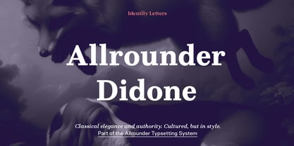 Allrounder Didone Font Poster 1