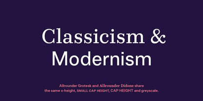 Allrounder Didone Font Poster 13
