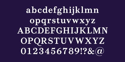 Allrounder Didone Font Poster 5