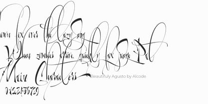 Beautifuly Agusto Font Poster 10
