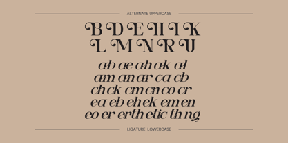 Ngetic Modern Font Poster 10