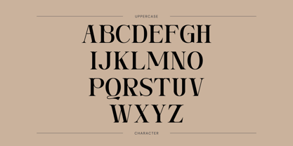 Ngetic Modern Font Poster 2