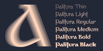 Palitura Font Poster 4