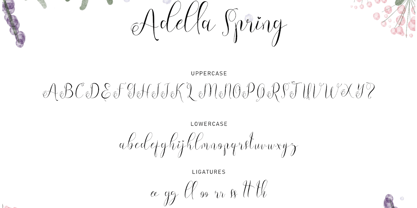 Adella Spring Font Poster 5