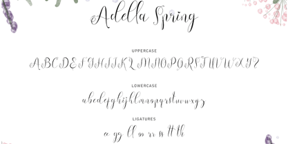 Adella Spring Police Poster 5