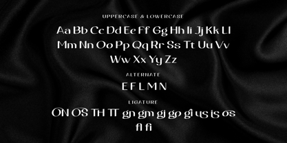 Egovu Font Poster 8