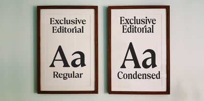 Exclusive Editorial Font Poster 4