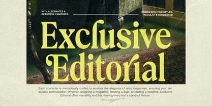 Exclusive Editorial Font Poster 1