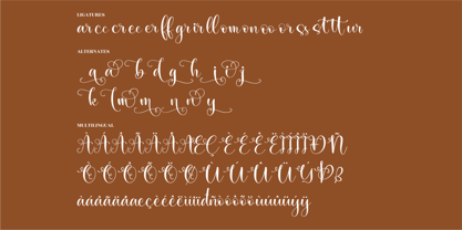 Salmah Font Poster 8