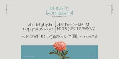 Mhiggita Romansha Police Affiche 12