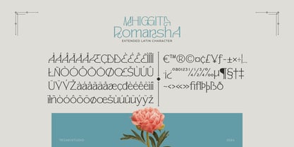 Mhiggita Romansha Police Affiche 14