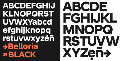 Belloria Font Poster 9