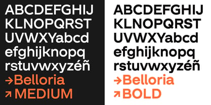 Belloria Font Poster 8