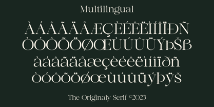 Agista Display Font Poster 6